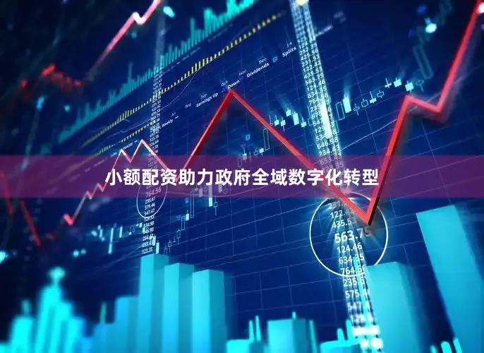 小额配资助力政府全域数字化转型