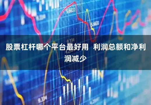 股票杠杆哪个平台最好用  利润总额和净利润减少