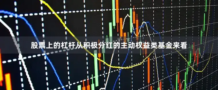 股票上的杠杆从积极分红的主动权益类基金来看