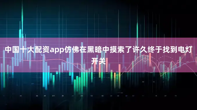 中国十大配资app仿佛在黑暗中摸索了许久终于找到电灯开关